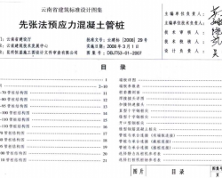 DBJT53-01-2007 ʡ׼ͼ-ŷԤӦ׮